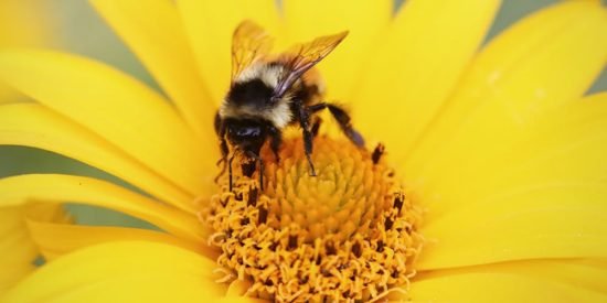 Run your program in the kernel space with eBPF